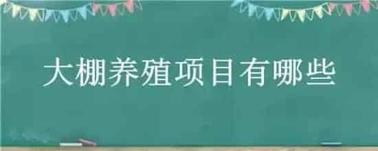 大棚养殖项目有哪些