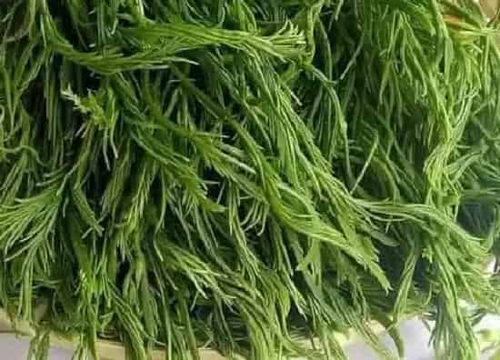蔬菜|臭菜和雪里红是一种菜吗