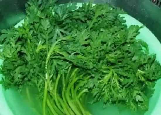 蔬菜|臭菜和雪里红是一种菜吗