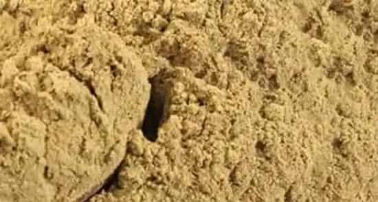 菊花粉的功效与作用及食用方法