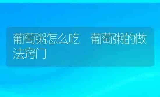 葡萄粥怎么吃 葡萄粥的做法窍门 | 养殖资讯