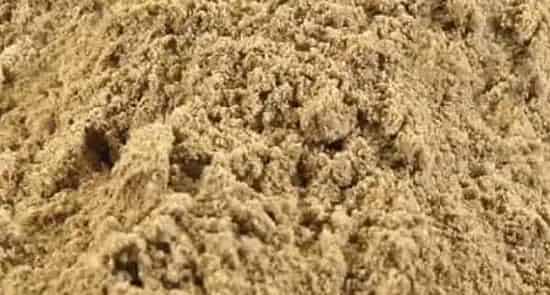 菊花粉的功效与作用及食用方法