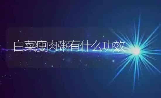 白菜瘦肉粥有什么功效 | 养殖资讯