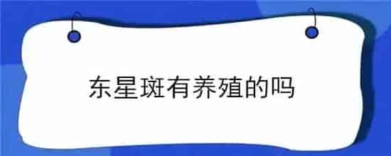 东星斑有养殖的吗