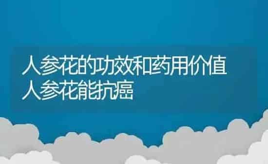 人参花的功效和药用价值 人参花能抗癌 | 养殖资料投稿