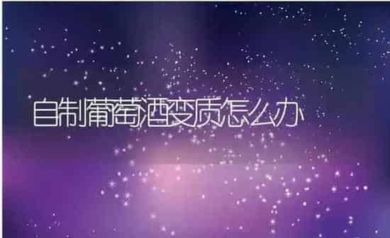 自制葡萄酒变质怎么办 | 养殖资料投稿