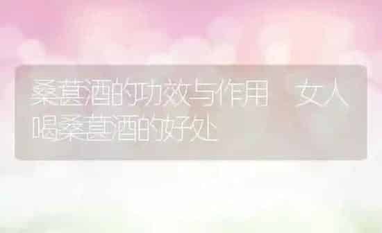 桑葚酒的功效与作用 女人喝桑葚酒的好处 | 养殖资料投稿