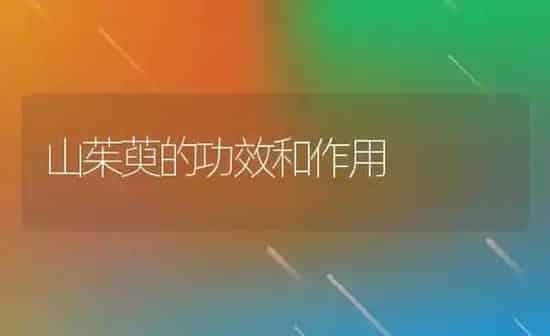 山茱萸的功效和作用 | 养殖资料投稿