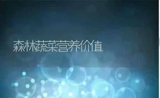 森林蔬菜营养价值 | 养殖资讯