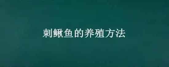 刺鳅鱼的养殖方法