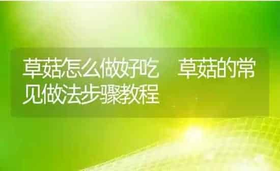 草菇怎么做好吃 草菇的常见做法步骤教程 | 养殖资料投稿