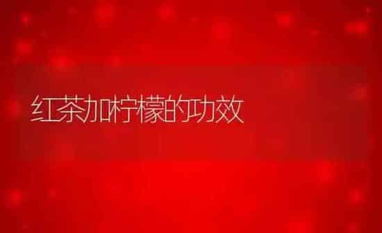 红茶加柠檬的功效 | 养殖资料投稿