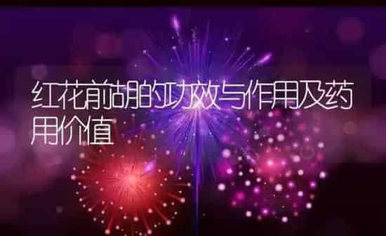 红花前胡的功效与作用及药用价值 | 养殖资料投稿