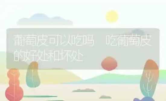 葡萄皮可以吃吗 吃葡萄皮的好处和坏处 | 养殖资料投稿