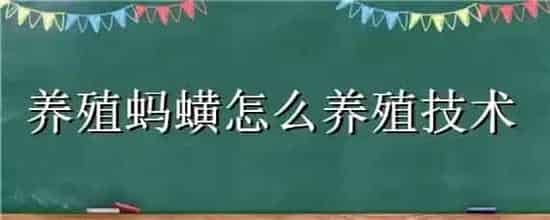 养殖蚂蟥怎么养殖技术