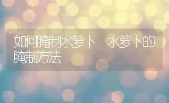 如何腌制水萝卜 水萝卜的腌制方法 | 养殖资料投稿