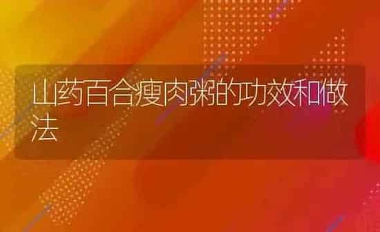 山药百合瘦肉粥的功效和做法 | 养殖资讯