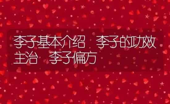 李子基本介绍 李子的功效主治 李子偏方 | 养殖资料投稿
