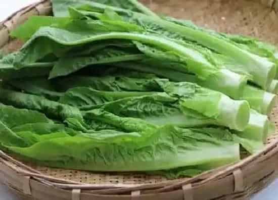 蔬菜|莴苣是什么菜
