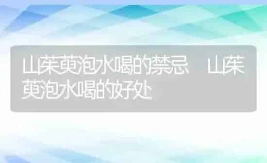 山茱萸泡水喝的禁忌 山茱萸泡水喝的好处 | 养殖资料投稿