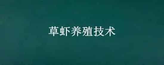 草虾养殖技术