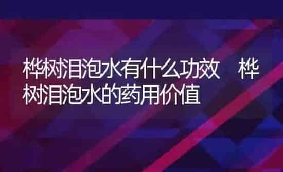 桦树泪泡水有什么功效 桦树泪泡水的药用价值 | 养殖资料投稿