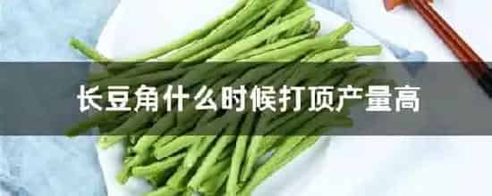 长豆角什么时候打顶产量高