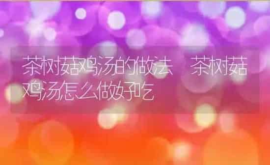 茶树菇鸡汤的做法 茶树菇鸡汤怎么做好吃 | 养殖资料投稿