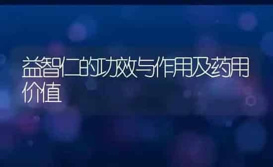益智仁的功效与作用及药用价值 | 养殖资料投稿