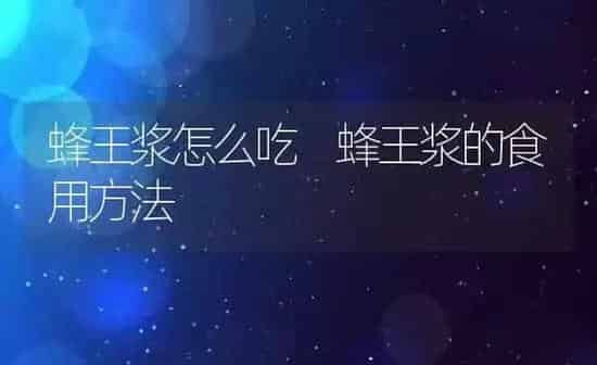 蜂王浆怎么吃 蜂王浆的食用方法 | 养殖资料投稿