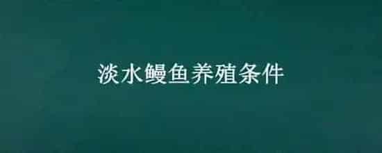 淡水鳗鱼养殖条件