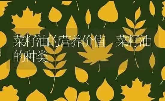 菜籽油的营养价值 菜籽油的种类 | 养殖资料投稿