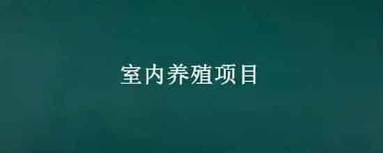 室内养殖项目