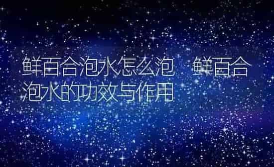鲜百合泡水怎么泡 鲜百合泡水的功效与作用 | 养殖资料投稿