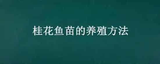 桂花鱼苗的养殖方法