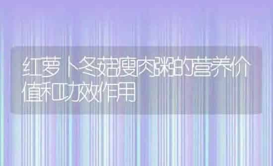 红萝卜冬菇瘦肉粥的营养价值和功效作用 | 养殖资讯