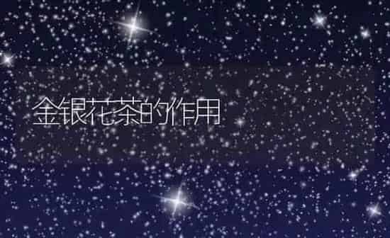 金银花茶的作用 | 养殖资料投稿