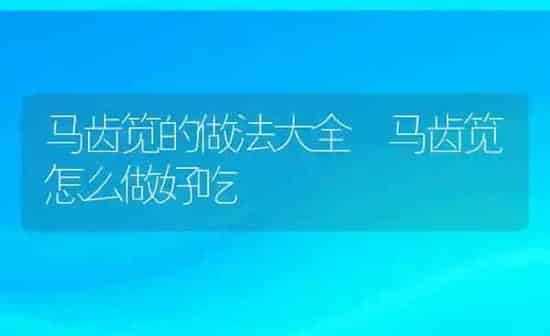 马齿笕的做法大全 马齿笕怎么做好吃 | 养殖资料投稿
