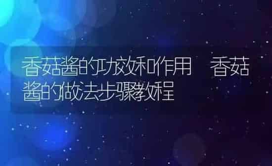 香菇酱的功效和作用 香菇酱的做法步骤教程 | 养殖资料投稿