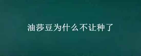 油莎豆为什么不让种了