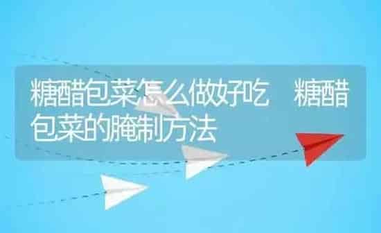 糖醋包菜怎么做好吃 糖醋包菜的腌制方法 | 养殖资料投稿
