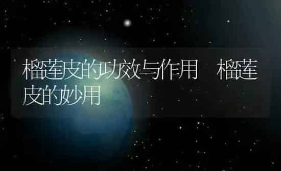 榴莲皮的功效与作用 榴莲皮的妙用 | 养殖资料投稿