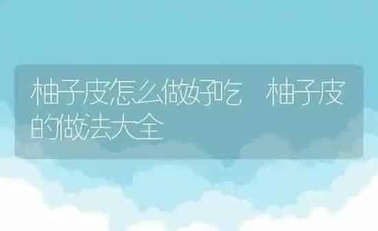 柚子皮怎么做好吃 柚子皮的做法大全 | 养殖资料投稿