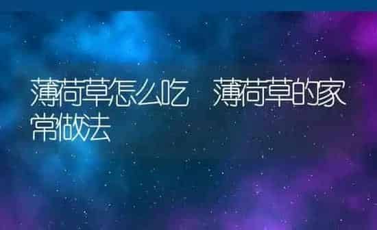 薄荷草怎么吃 薄荷草的家常做法 | 养殖资料投稿