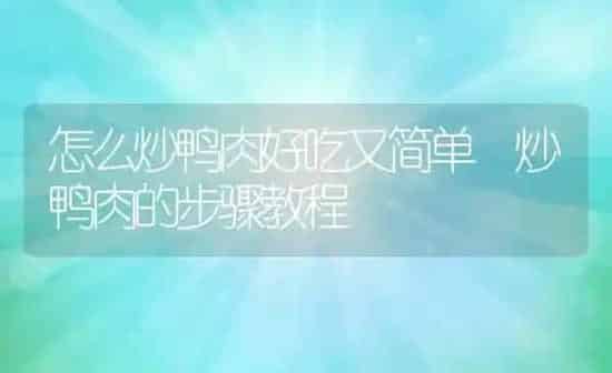怎么炒鸭肉好吃又简单 炒鸭肉的步骤教程 | 养殖资料投稿
