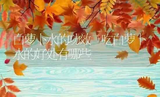 白萝卜水的功效 吃白萝卜水的好处有哪些 | 养殖资料投稿