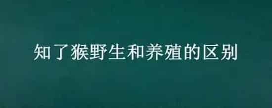 知了猴野生和养殖的区别