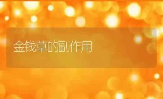 金钱草的副作用 | 养殖资料投稿