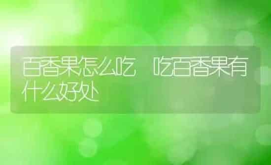 百香果怎么吃 吃百香果有什么好处 | 养殖资料投稿