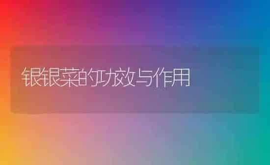银银菜的功效与作用 | 养殖资料投稿